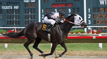 How Does Bet Insurance Work? When a Refund or Free Bet Applies