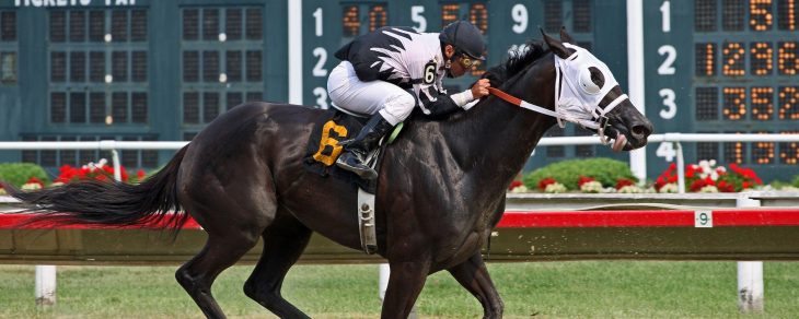 How Does Bet Insurance Work? When a Refund or Free Bet Applies