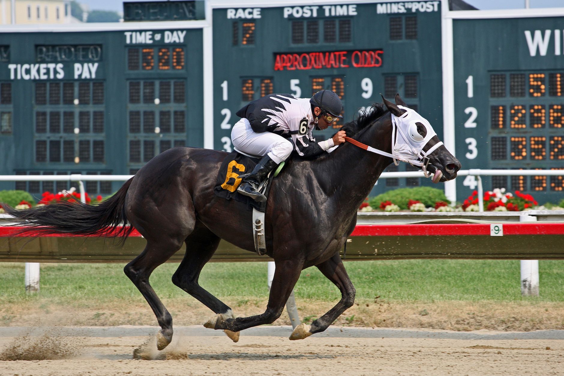 How Does Bet Insurance Work? When a Refund or Free Bet Applies