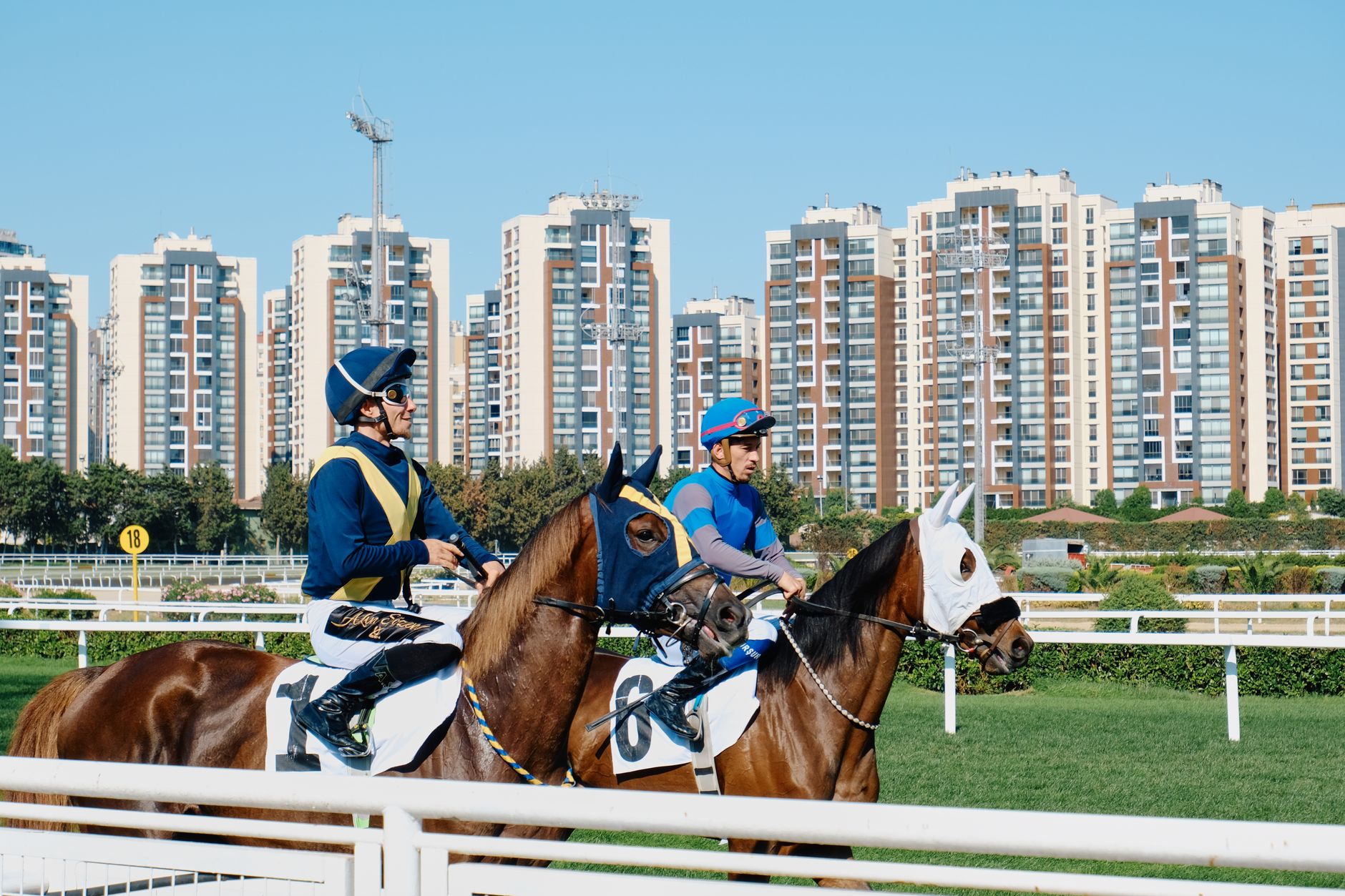 How Long Do Virtual Horse Races Last, and How Often Do They Run?
